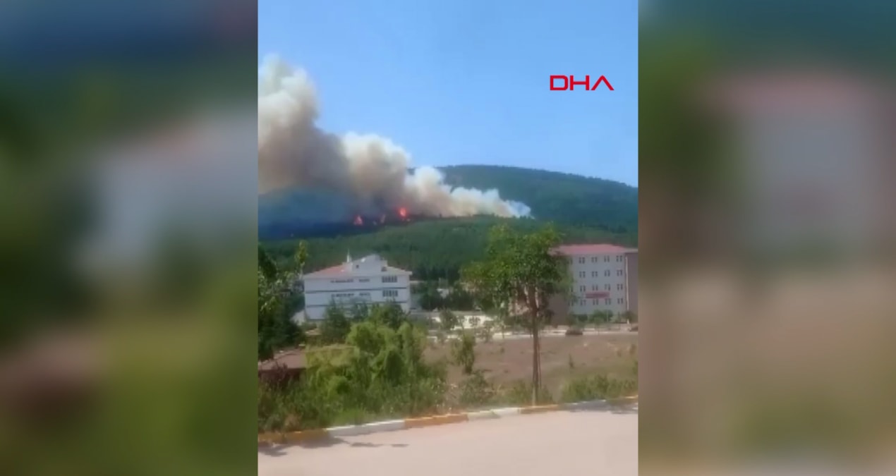 İstanbul’da orman yangını: Müdahale sürüyor…
