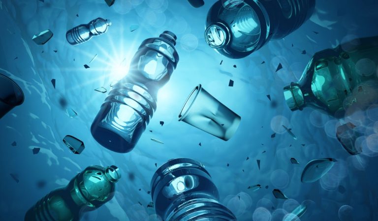 Tek kullanımlık plastiklere karşı umut veren alternatif Tek kullanımlık plastiklere karşı umut veren alternatif